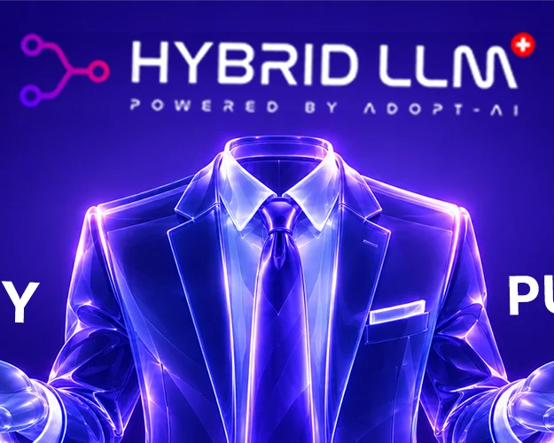 Public vs Private vs Hybrid LLM